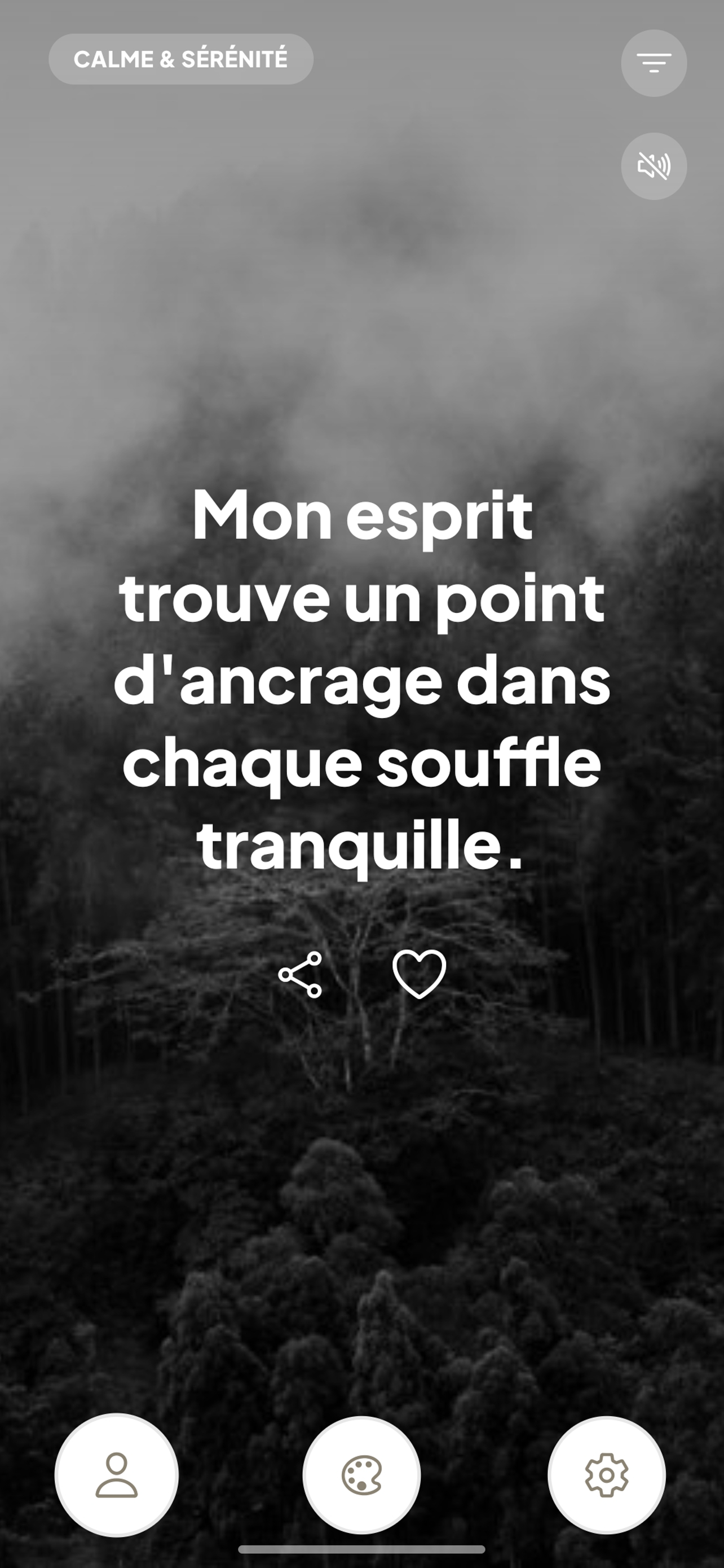 Aperçu du fil d'affirmations Talvo