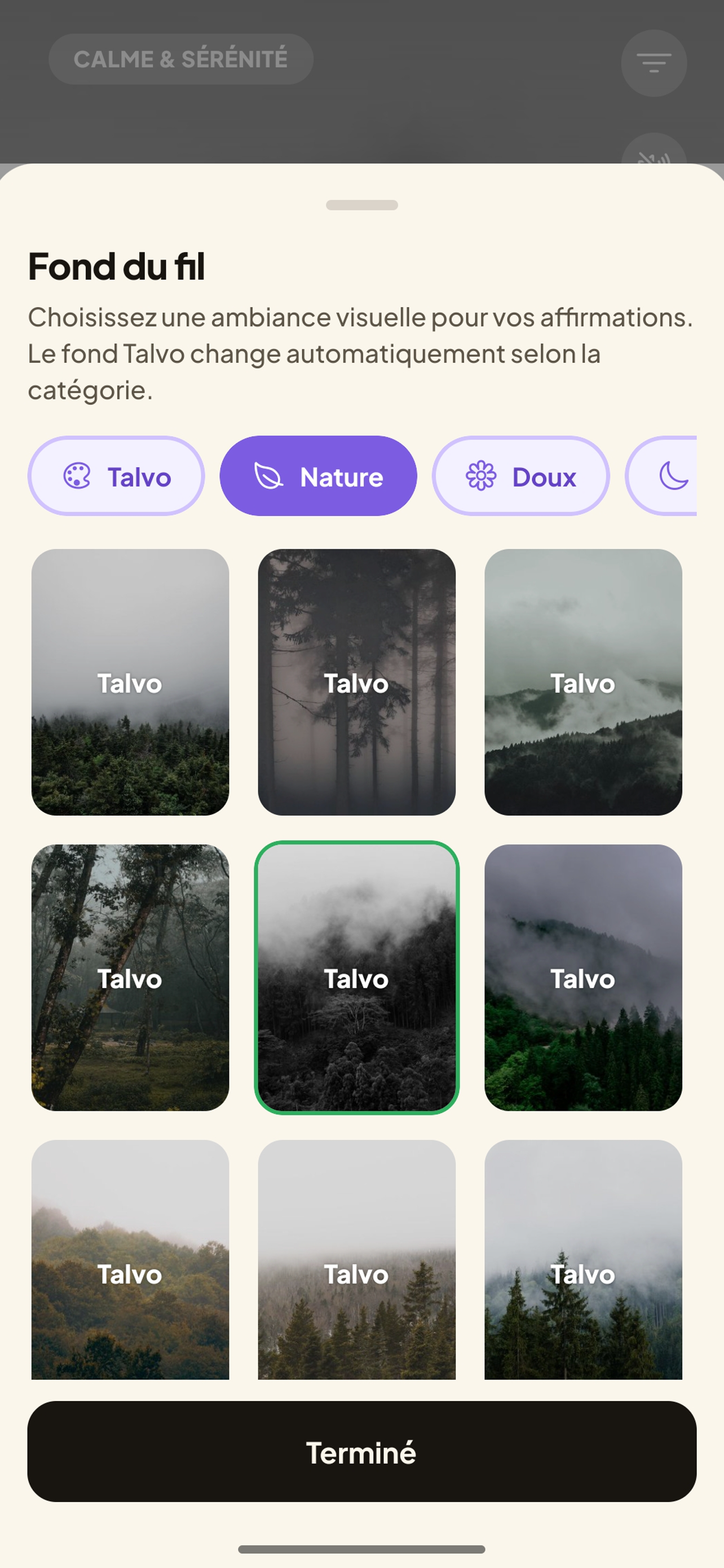 Personnalisation d'une affirmation dans Talvo