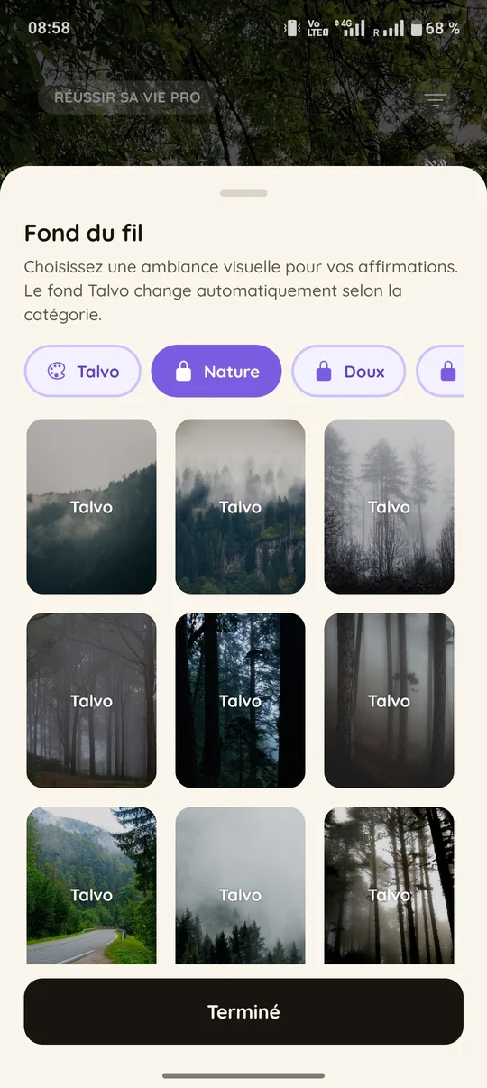 Choix du fond visuel du fil dans Talvo